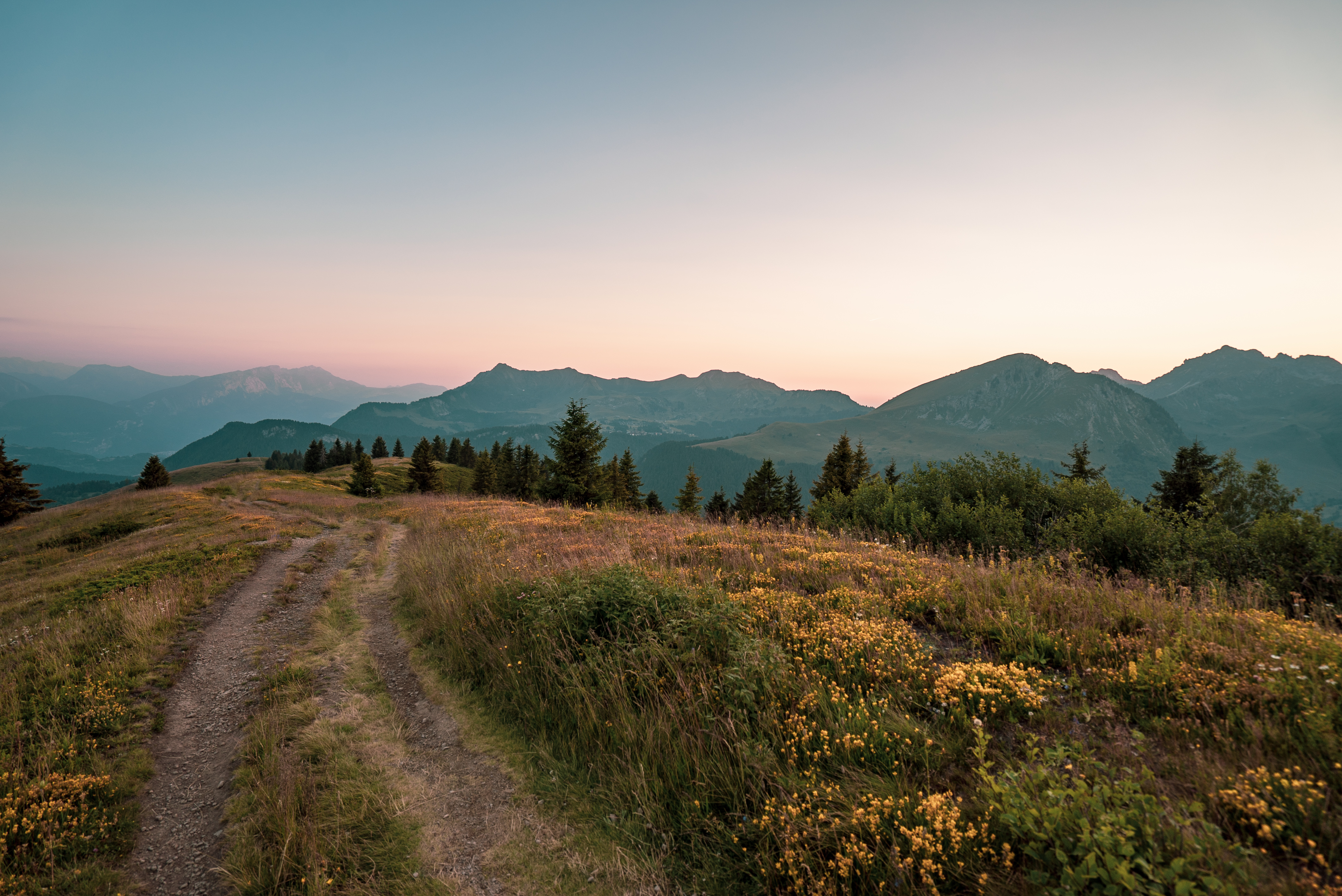 What's on in August in our resorts?